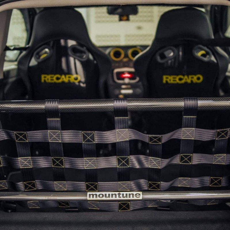 Clubsport Set - Strebe mit Netz für Ford Fiesta ST MK6